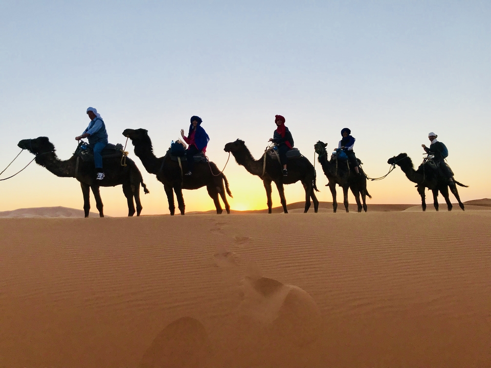 Line of camels carrying riders during sunset over desert dunes.
