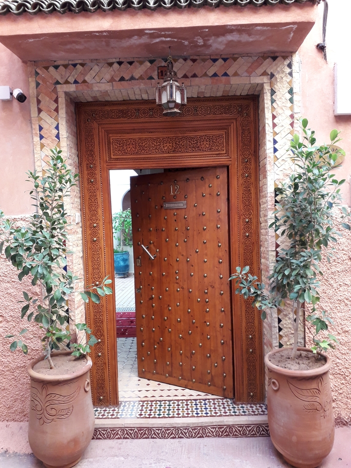 Traditional Moroccan door with decorative carvings and plants.
