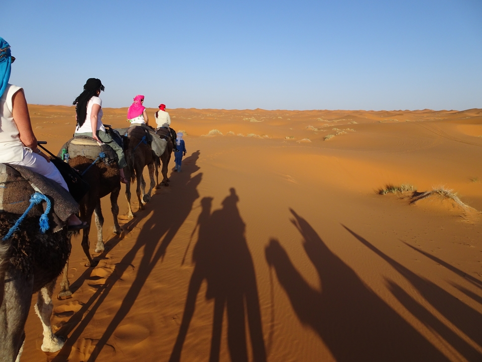 Tourists riding camels in the desert during the day.
