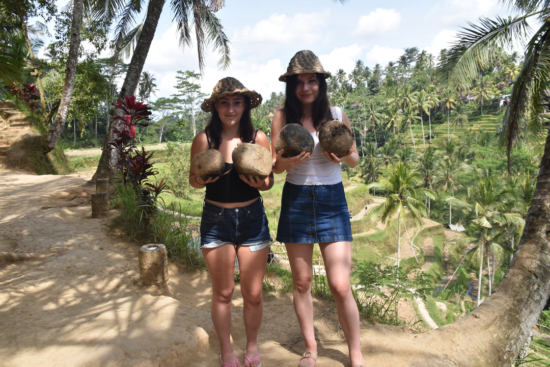 Two people holding coconuts in front of rice terraces.