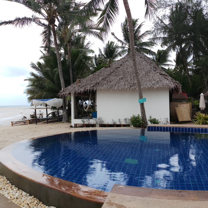 Beach hut by a swimming pool next to a palm tree.