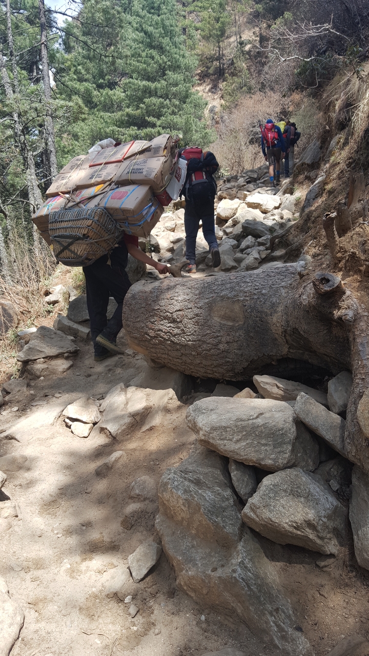 Person hiking on a rocky trail with a large fallen tree.
