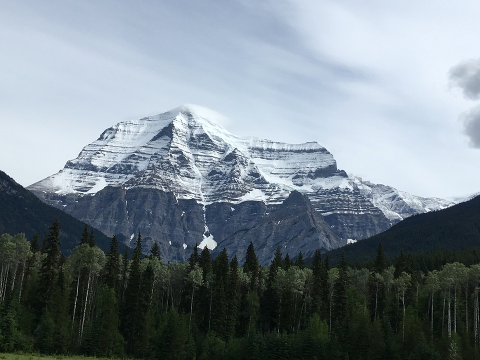 Majestic snowy mountain with trees in the foreground