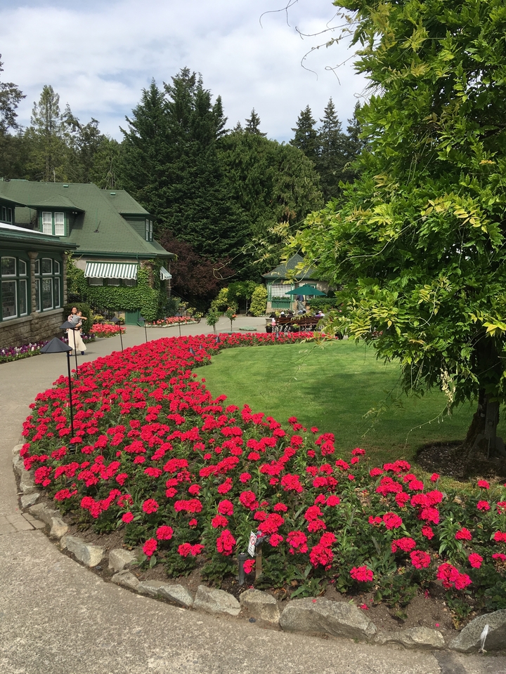 A landscaped garden with vibrant red flowers and seating area.