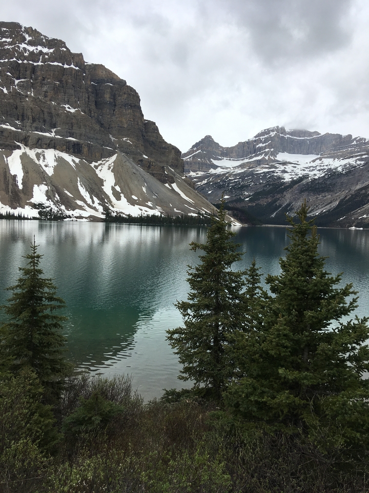 Lake surrounded by mountains with snow tops and pine trees