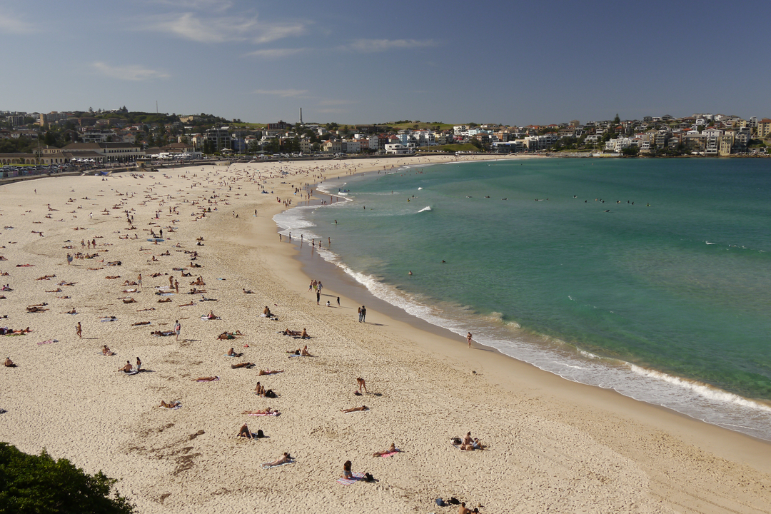 An expansive view of Bondi Beach filled with people enjoying the sun.