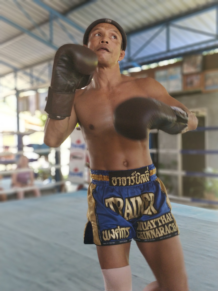 Boxer training in a gym environment.