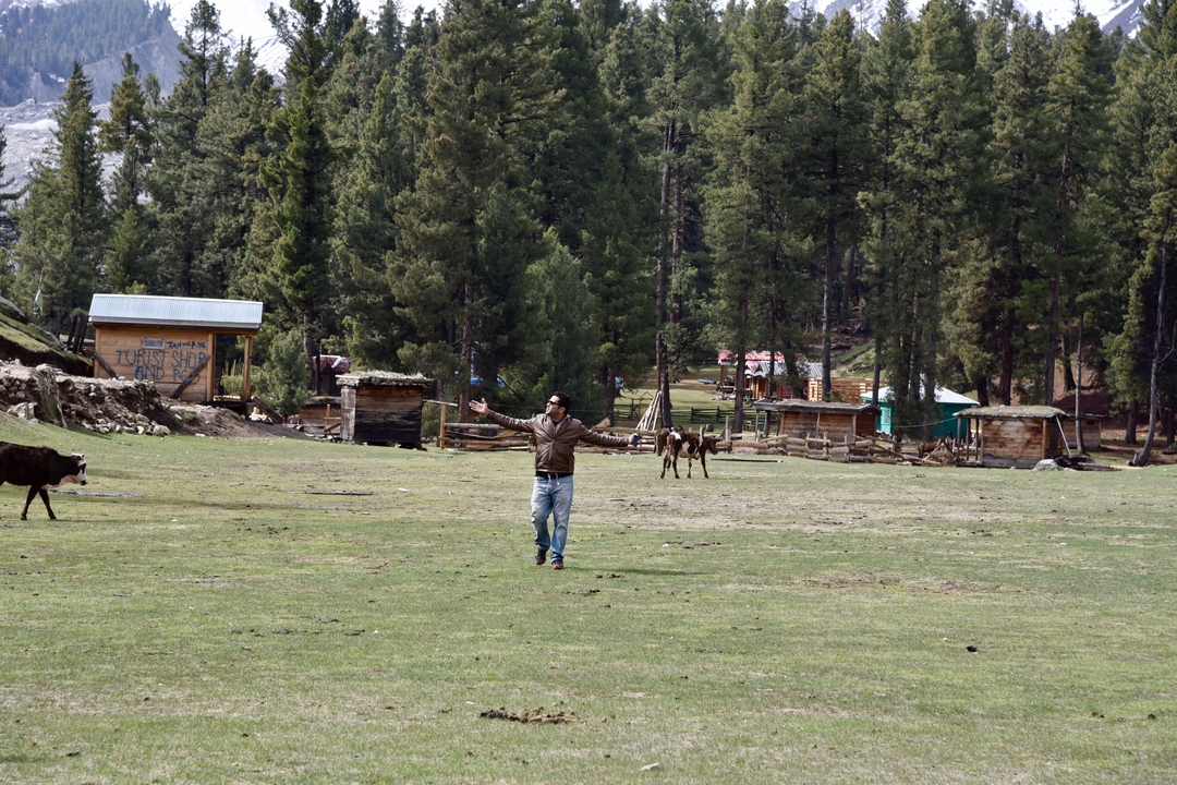 Person with arms spread out in a valley with cattle.