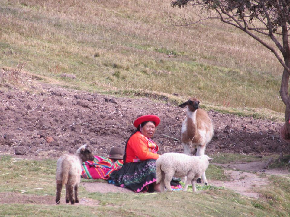 Une femme en tenue traditionnelle avec des animaux de ferme.
