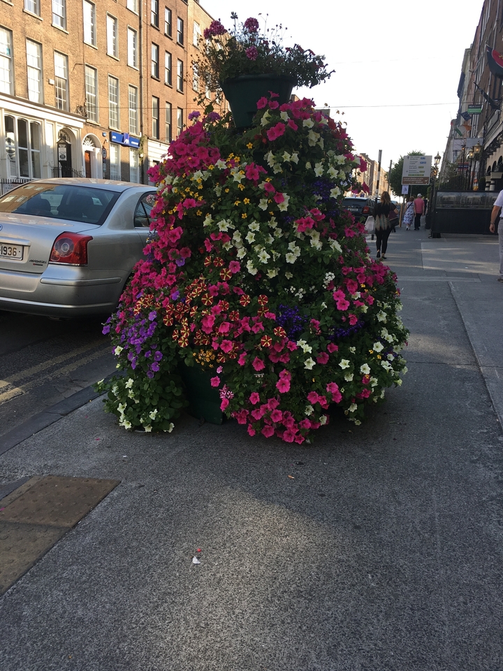 A colorful arrangement of flowers on a street.