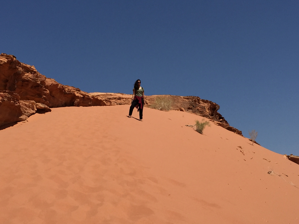 A person standing on a sand dune in a vast desert landscape.