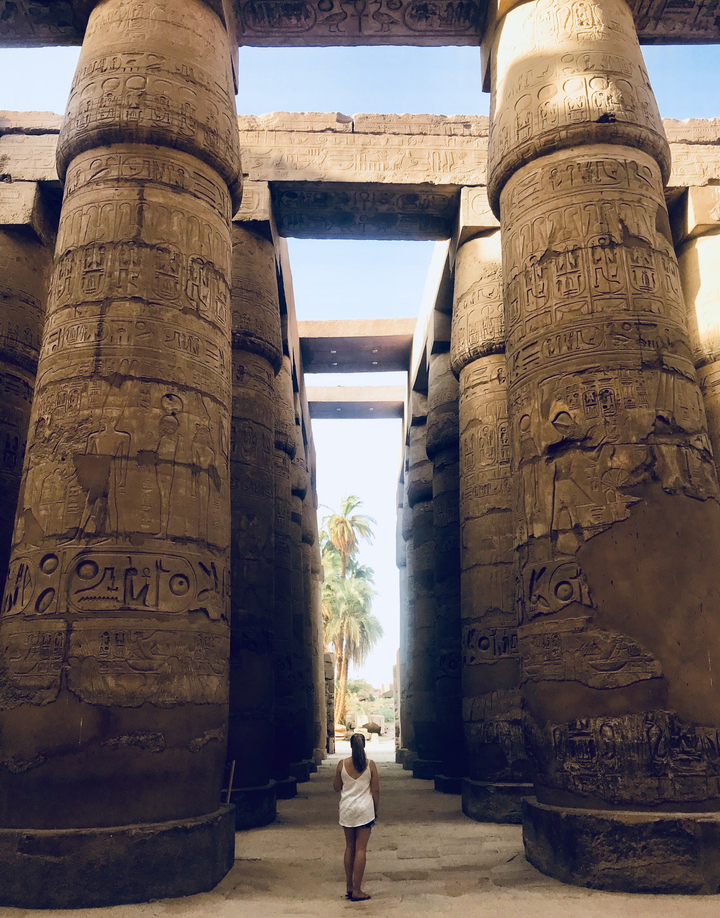Massive hieroglyph-covered columns framing a distant palm tree at an ancient Egyptian temple.
