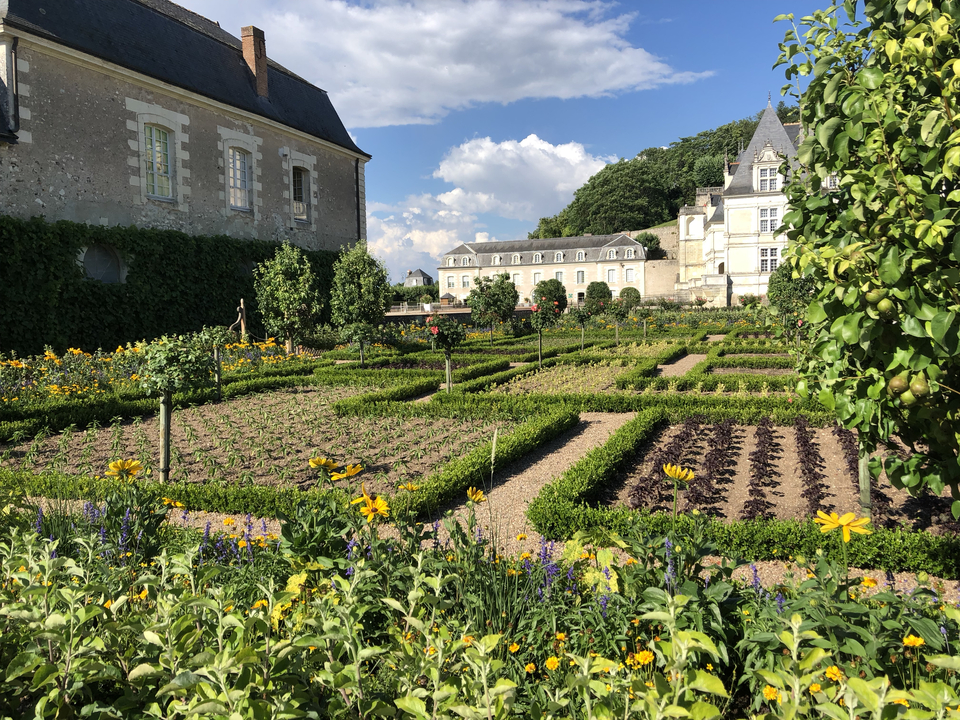 Vaste jardin avec diverses plantes.