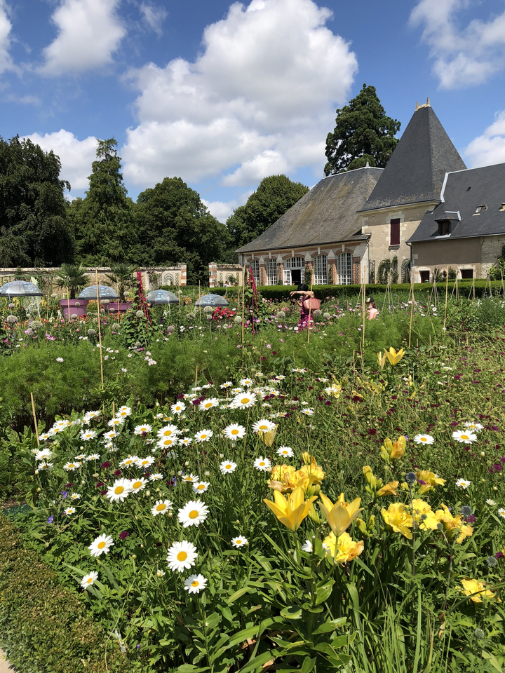 Jardin de fleurs avec des gens qui se promènent.