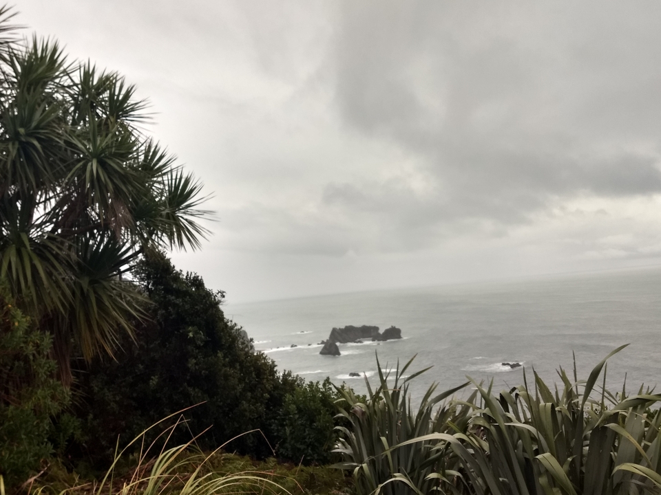 Rocky coastal view with plants and ocean.