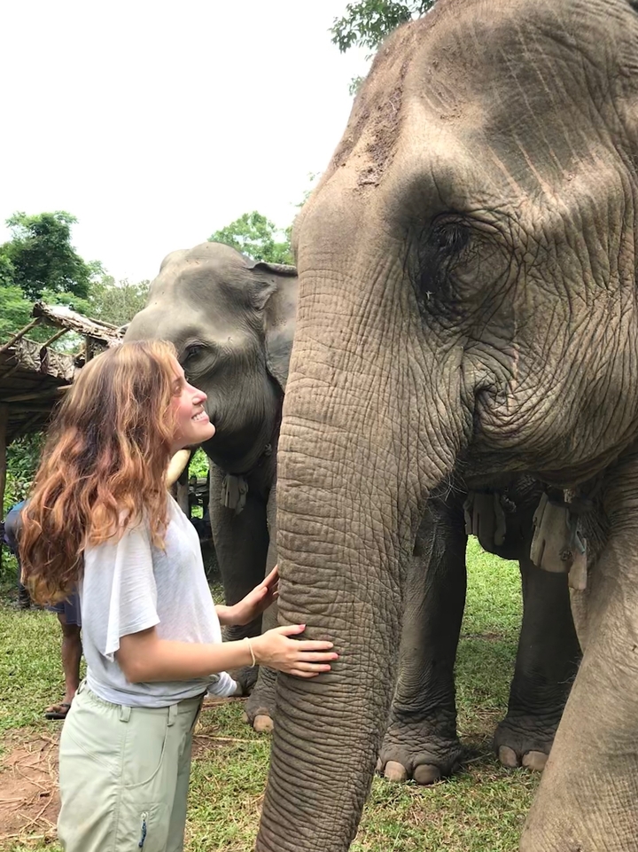 Woman smiling while interacting with two elephants.