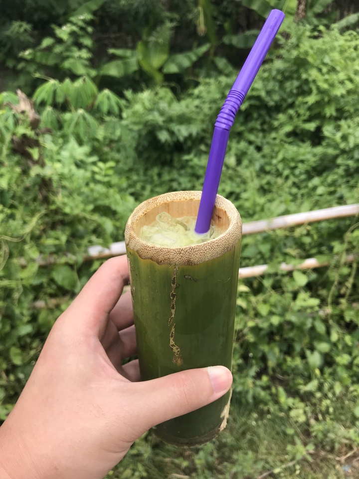 Beverage in a bamboo cup with a purple straw held against a green background.
