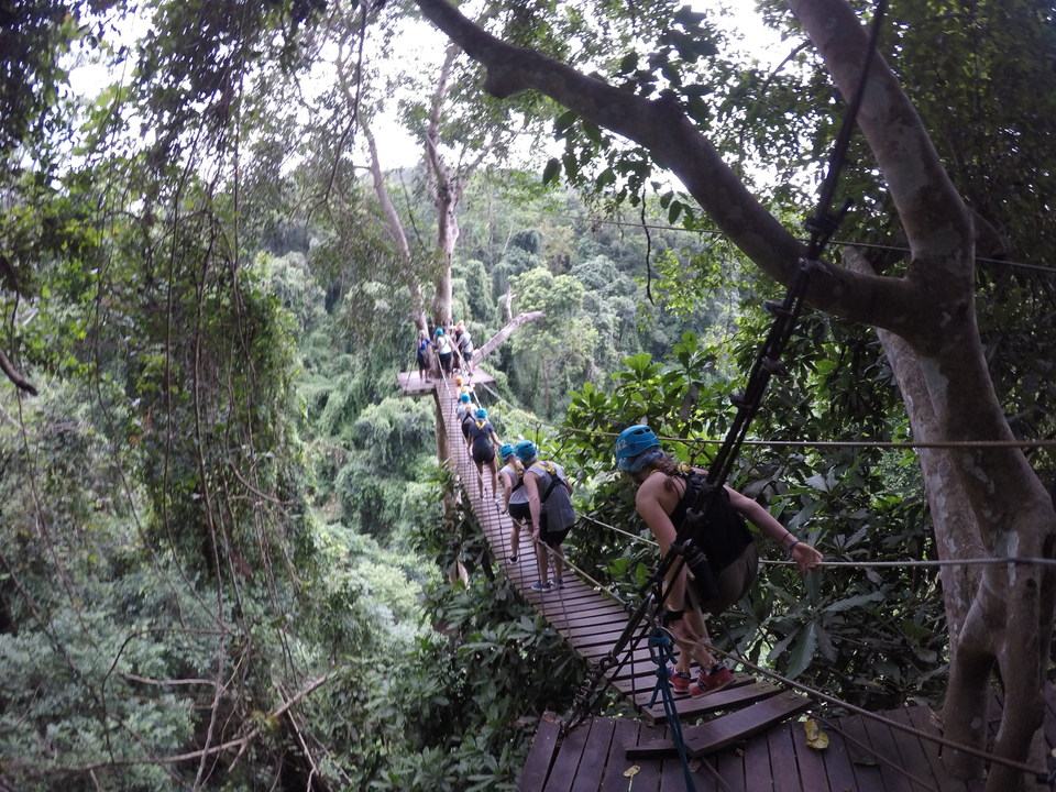 Groupe de personnes traversant un pont suspendu dans une forêt luxuriante.