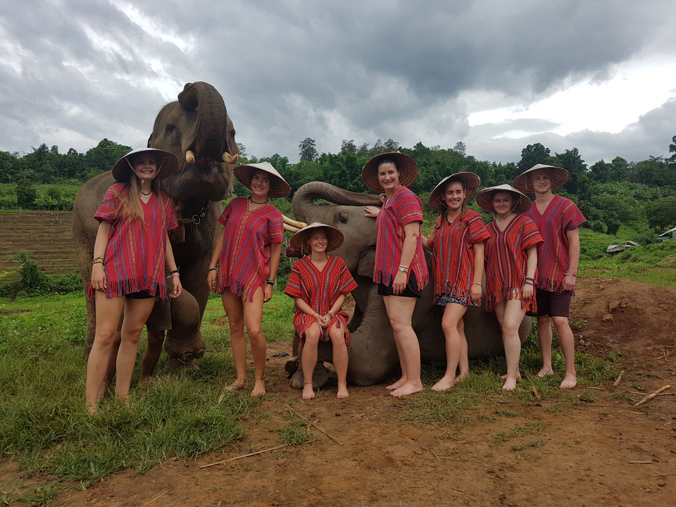 Groupe de personnes interagissant avec des éléphants dans un environnement luxuriant.