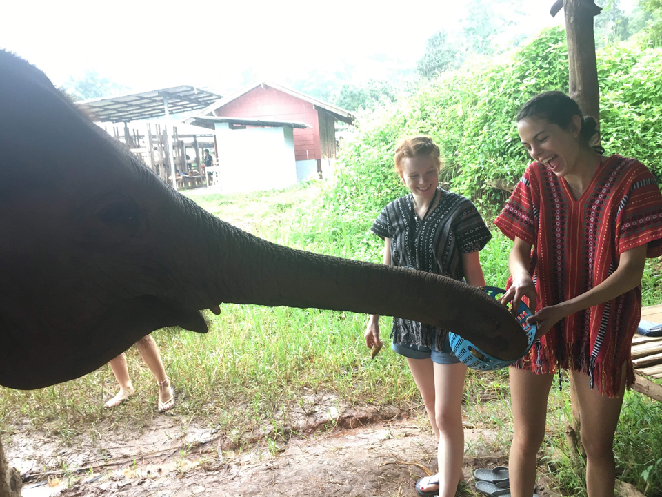 Two people feeding an elephant.