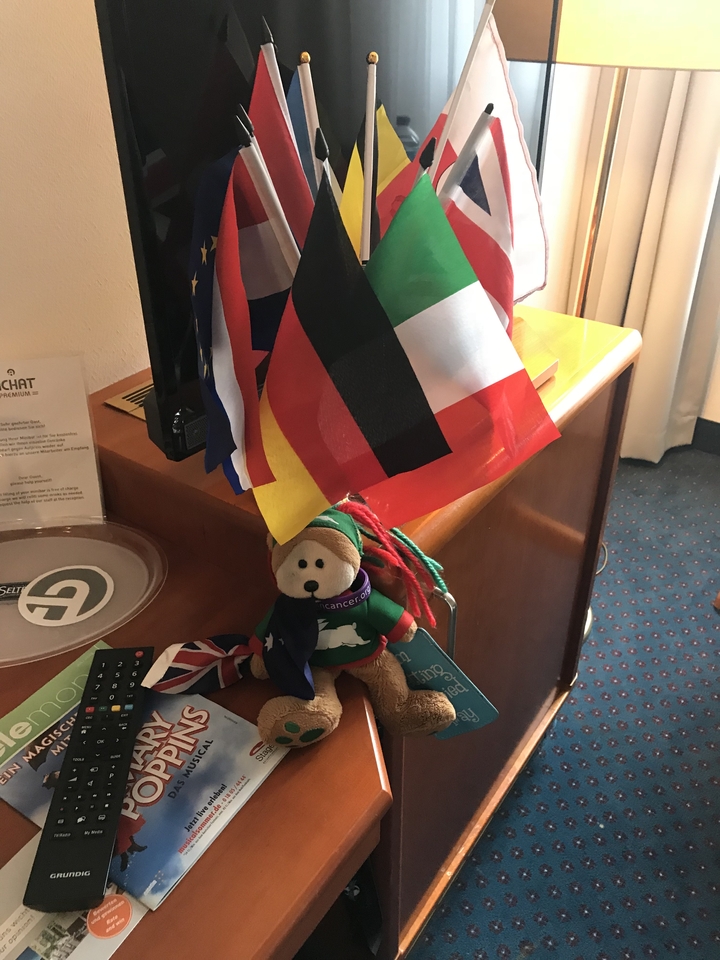 Ours en peluche avec drapeaux internationaux dans un décor de chambre.
