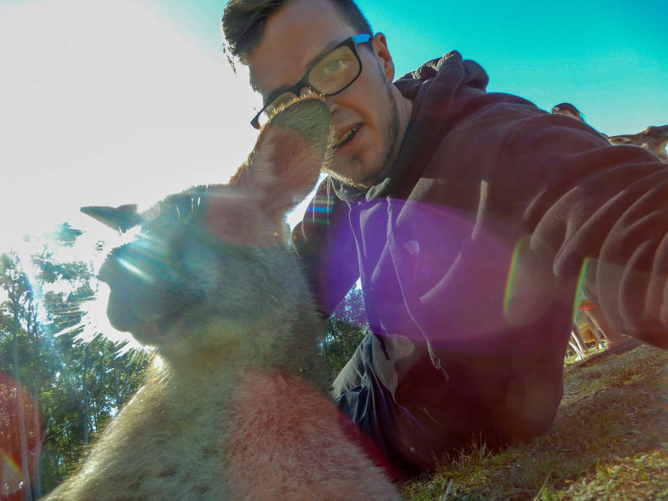 Close-up selfie with a kangaroo, sun glare visible.