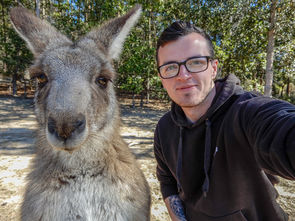 Person posing with a kangaroo in a park setting.