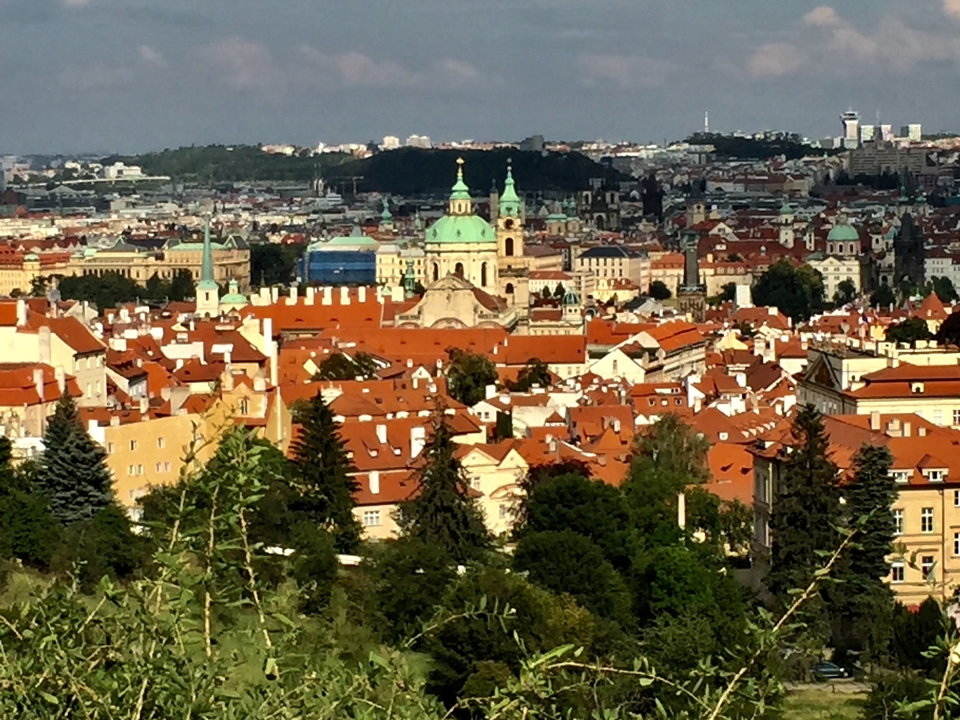 Panoramic cityscape view, featuring historical buildings and red rooftops.