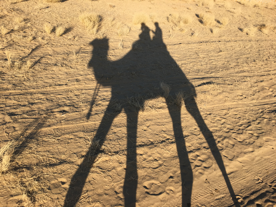 Shadow of a camel riding through a sandy desert.