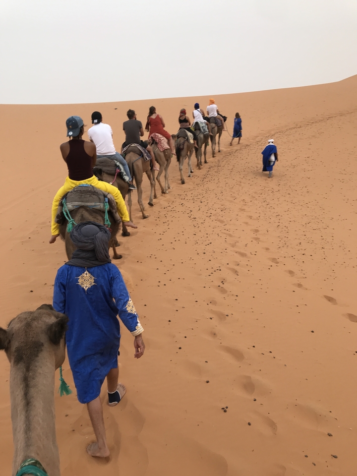 A group of people riding camels through the desert.