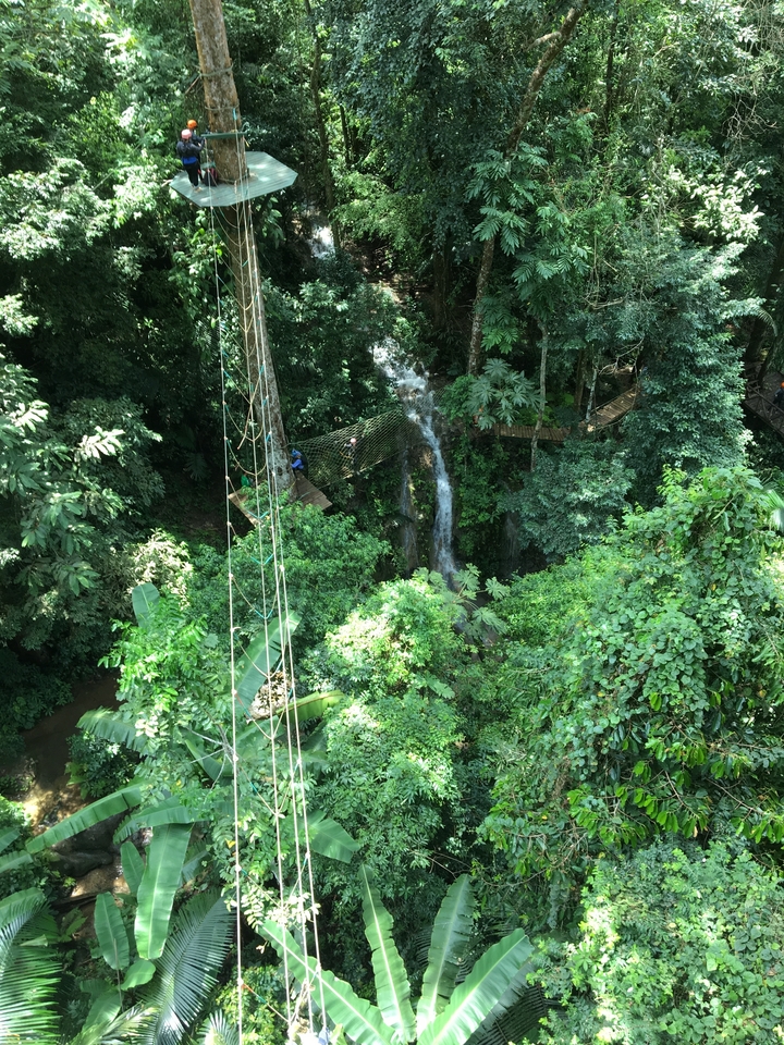 Aerial view of a tree canopy walk and a waterfall.