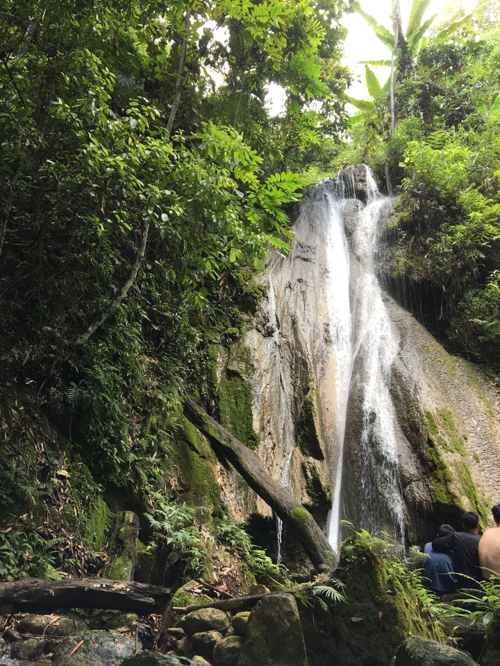 Tall waterfall cascading over moss-covered rocks.
