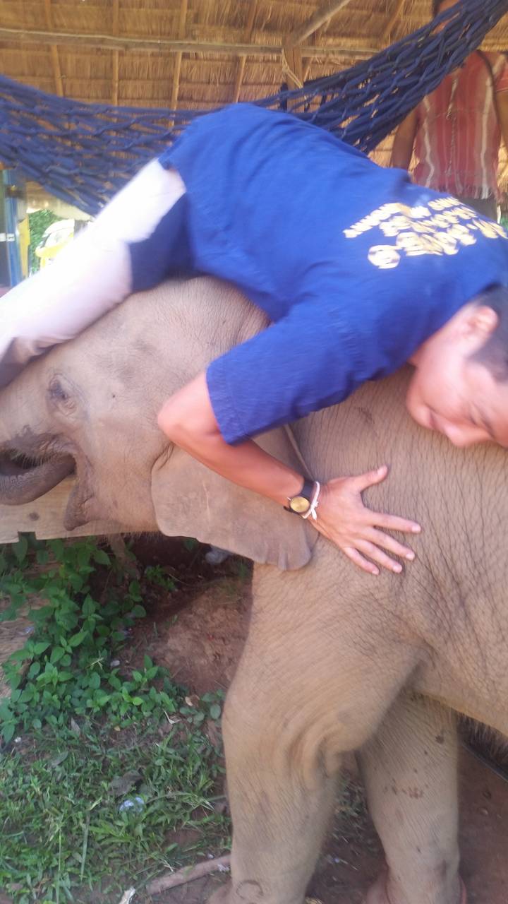 Person hugging a baby elephant.