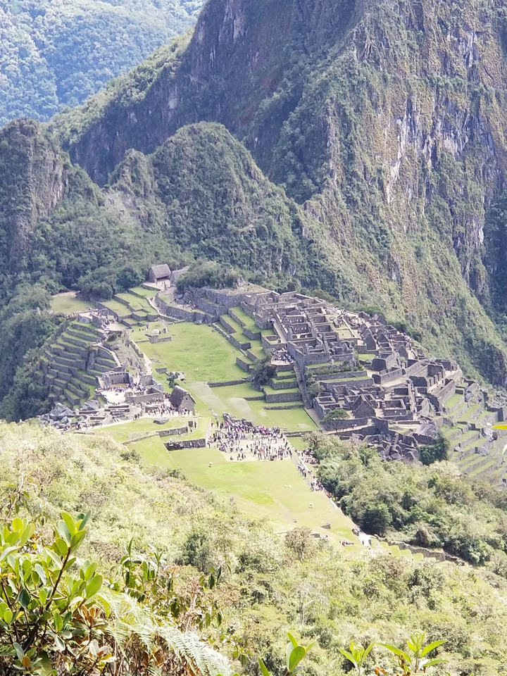 Vue des ruines du Machu Picchu d'en haut avec un environnement luxuriant.