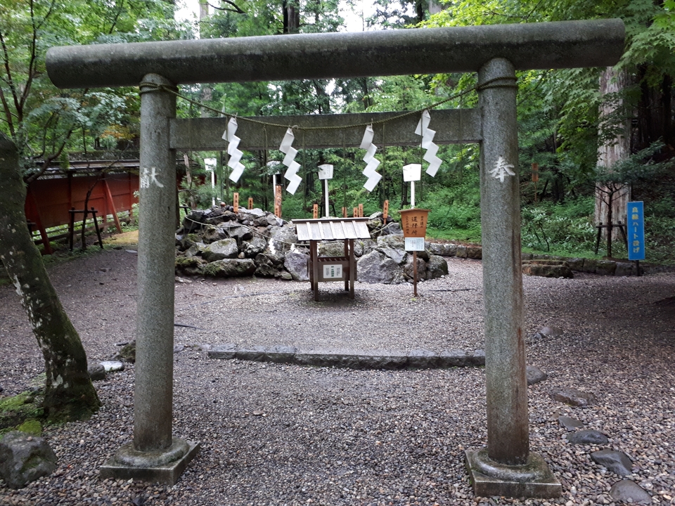 Petit sanctuaire shinto avec un torii traditionnel en pierre.