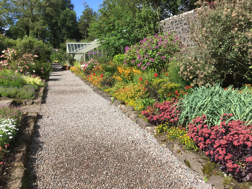 Un sentier de jardin vibrant avec une variété de fleurs colorées.
