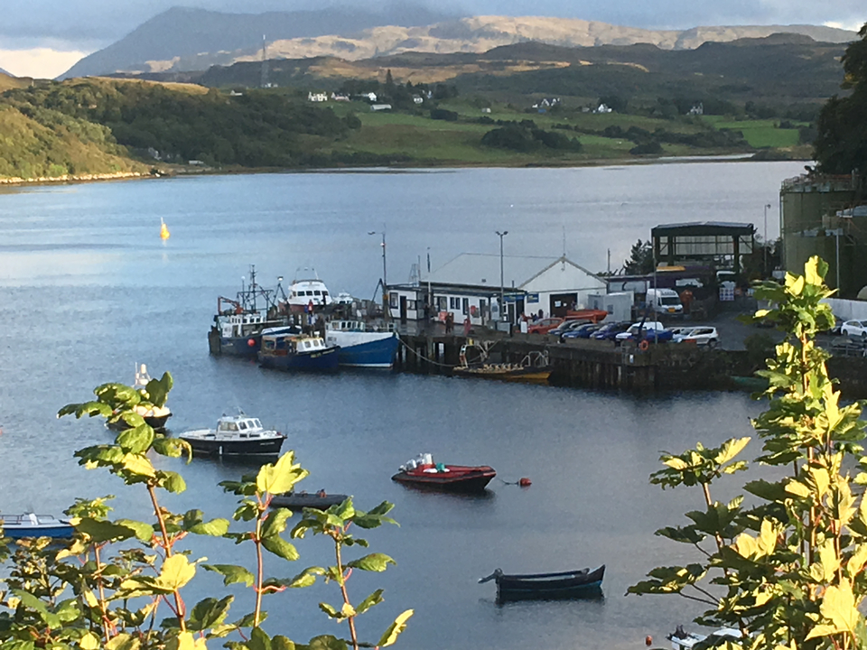 Un petit port avec des bateaux de pêche colorés amarrés le long de la jetée.