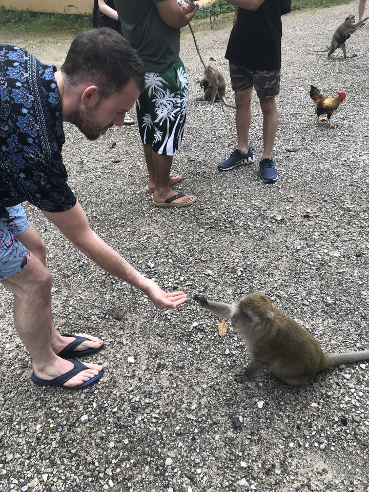 Person feeding a monkey on rocky ground.