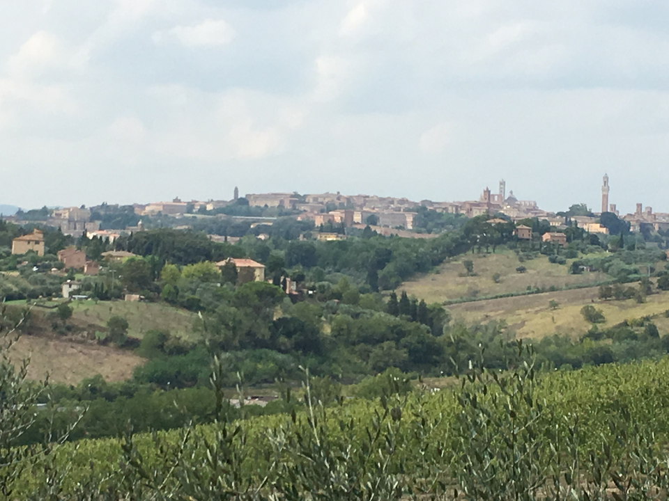 Scenic landscape view of Siena in the distance.