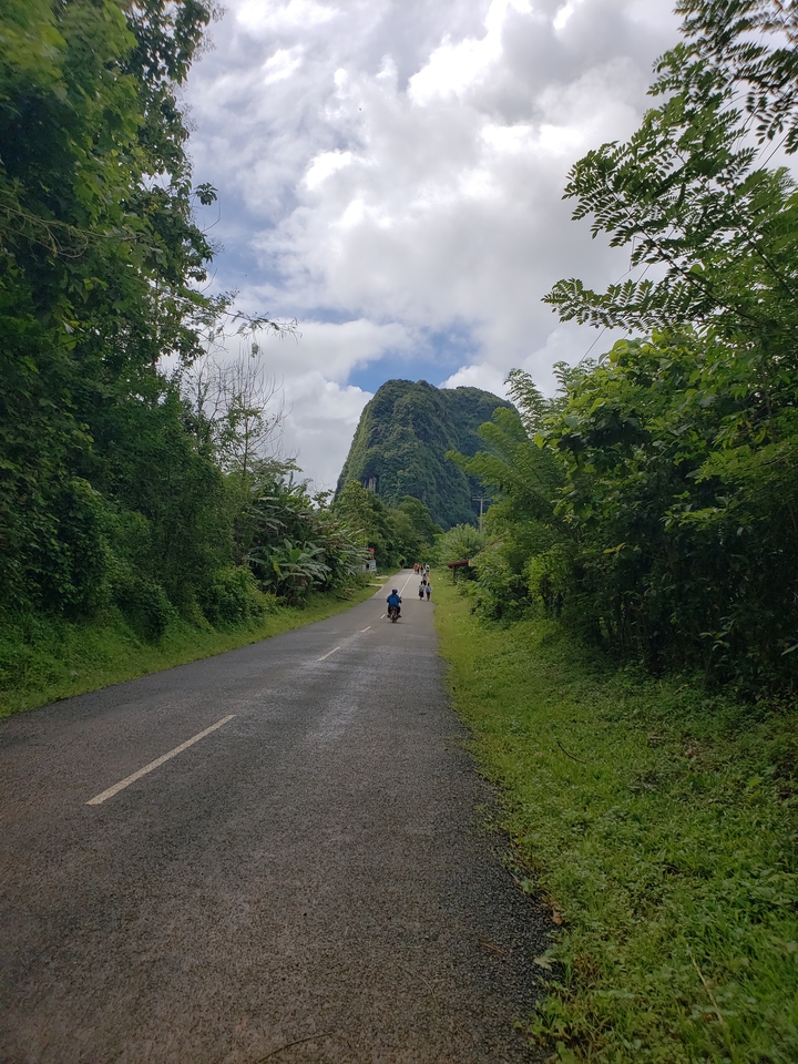 Scenic road through lush greenery with a distant hill.