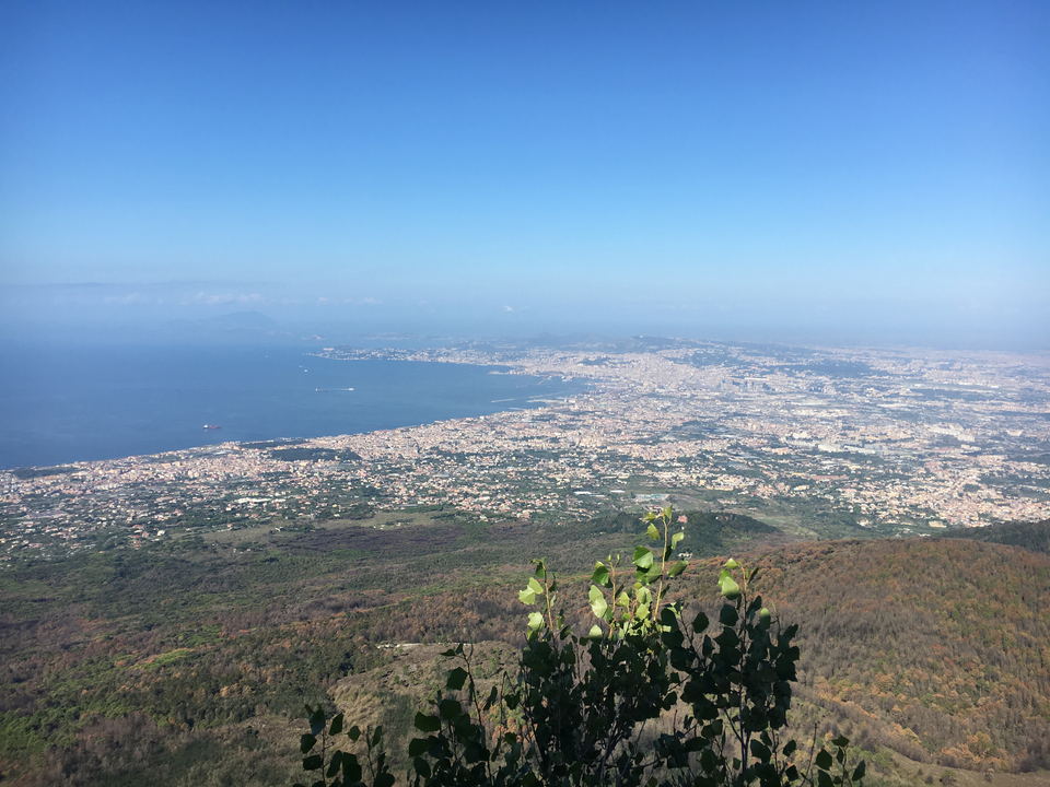 Aerial view of a coastal city stretching along the sea.
