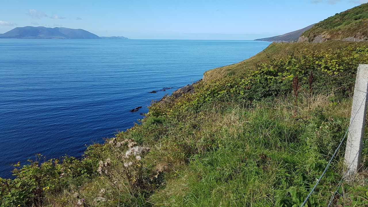 Cliffside with ocean view and grass.