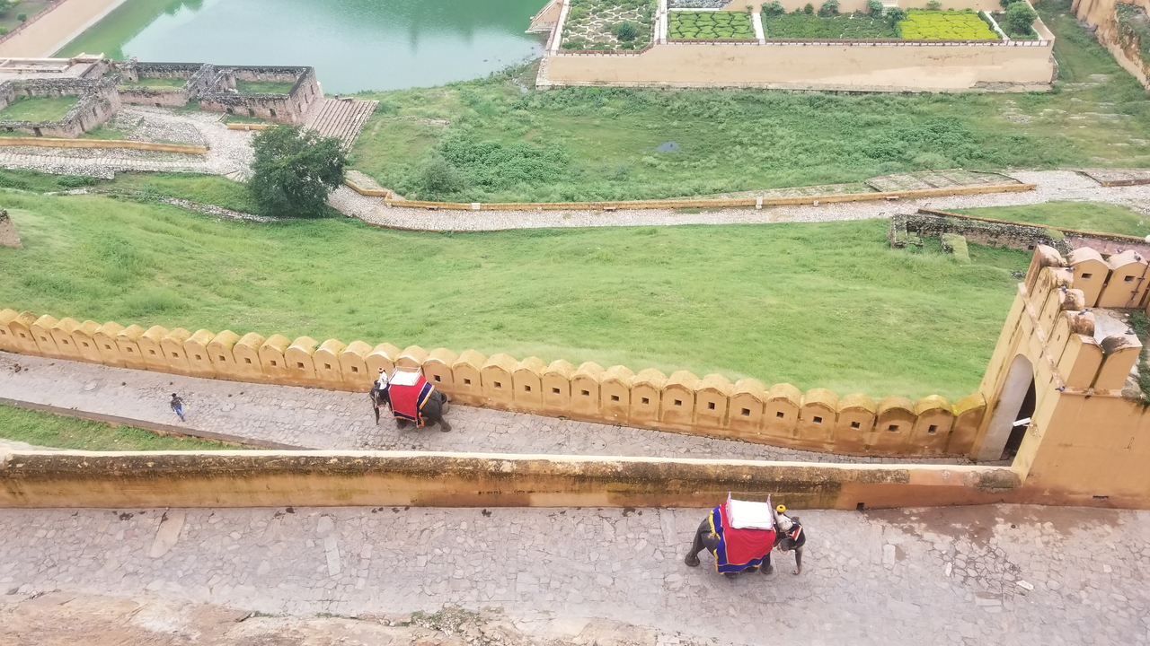 Elephants walking along a pathway inside a fort.