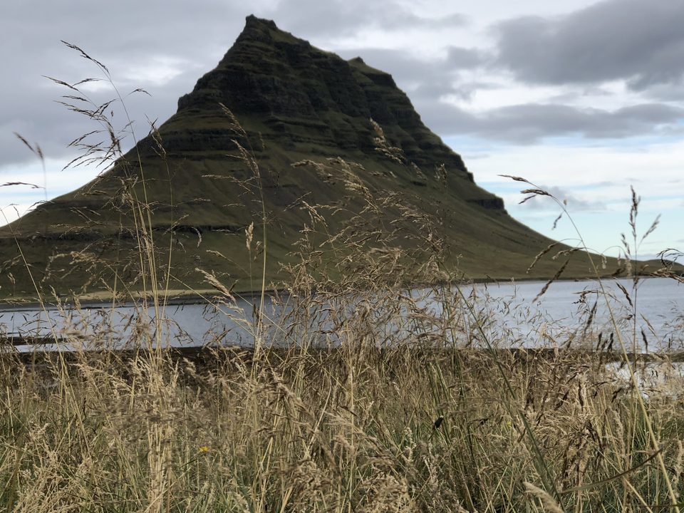 Kirkjufell mountain with tall grass in the foreground.