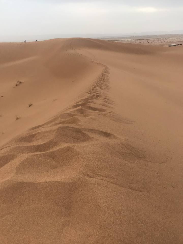 Tracks in the sand in a desert.