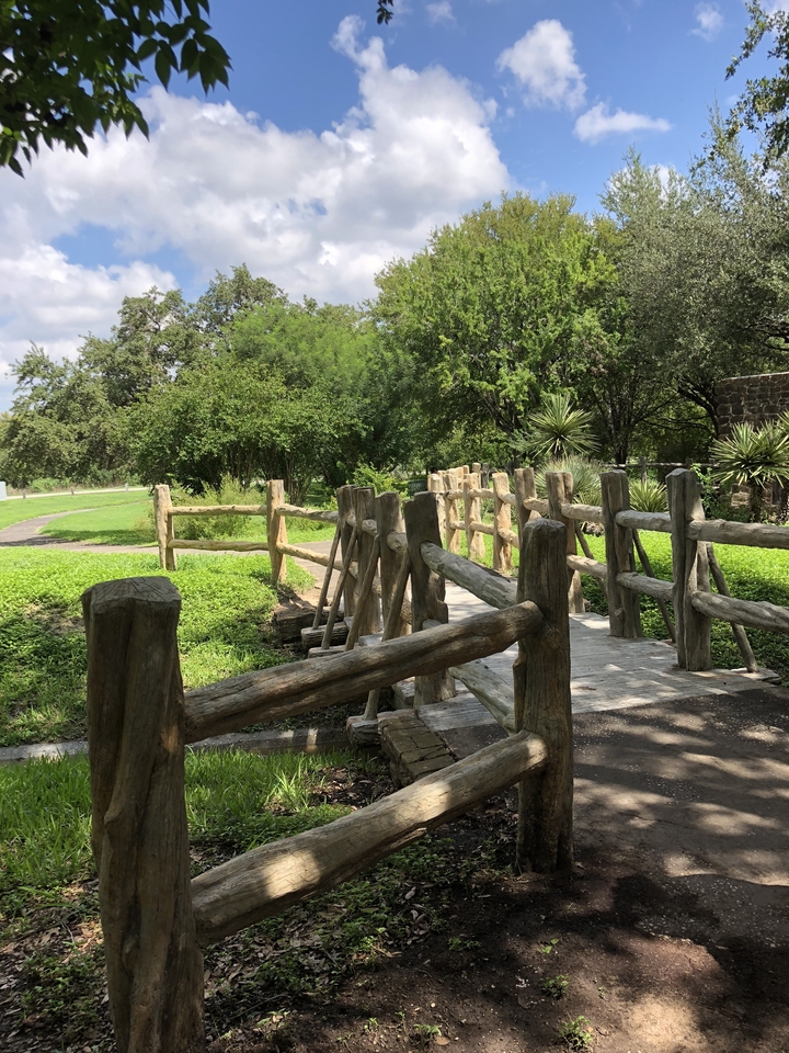Wooden footbridge surrounded by greenery.