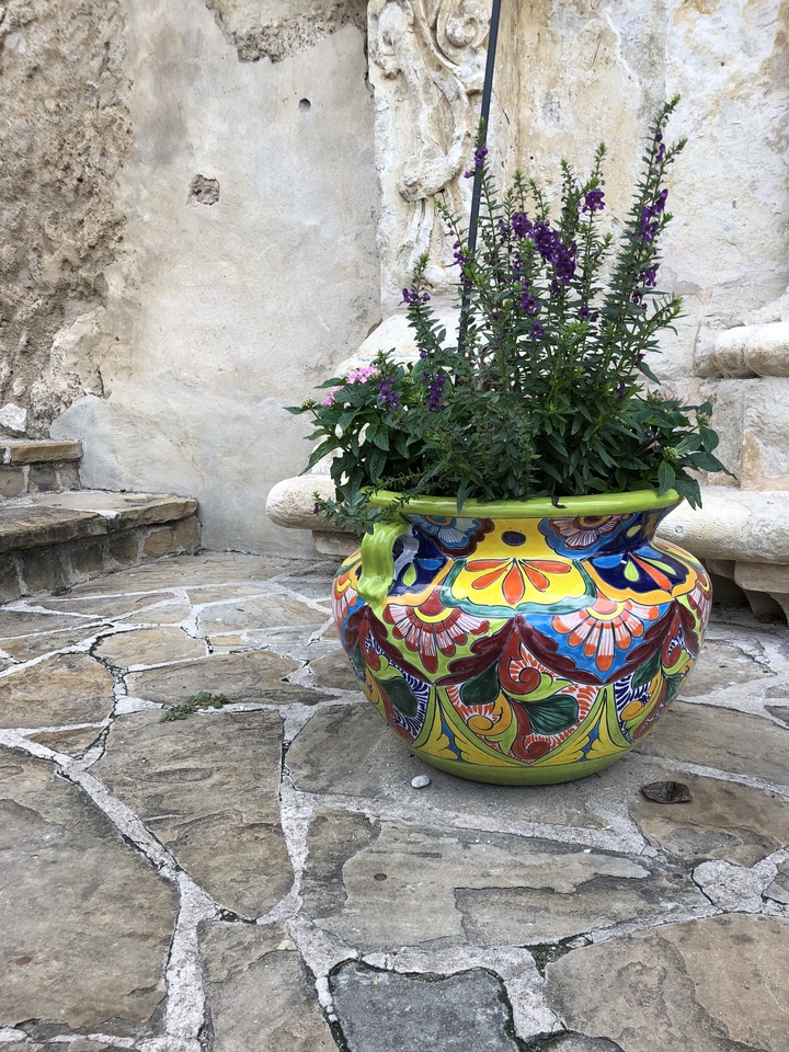 Colorful ceramic flower pot on a stone surface.