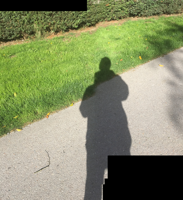 Ombre d'une personne sur un sentier, largement masquée