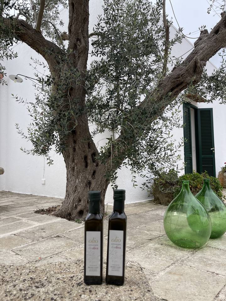 Olive tree with bottles of olive oil placed nearby.