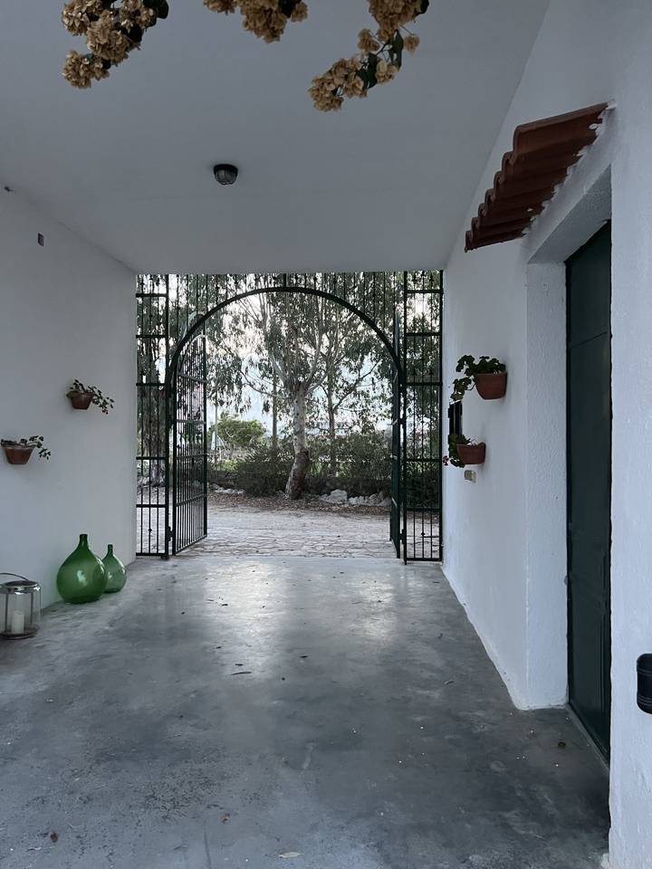 An arched gate leading to a garden with trees.